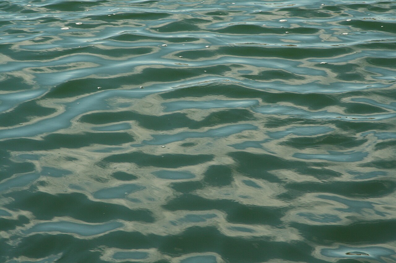 Fathom research vessel at sea